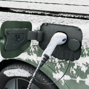 Zimski pokrov polnilnih priključkov